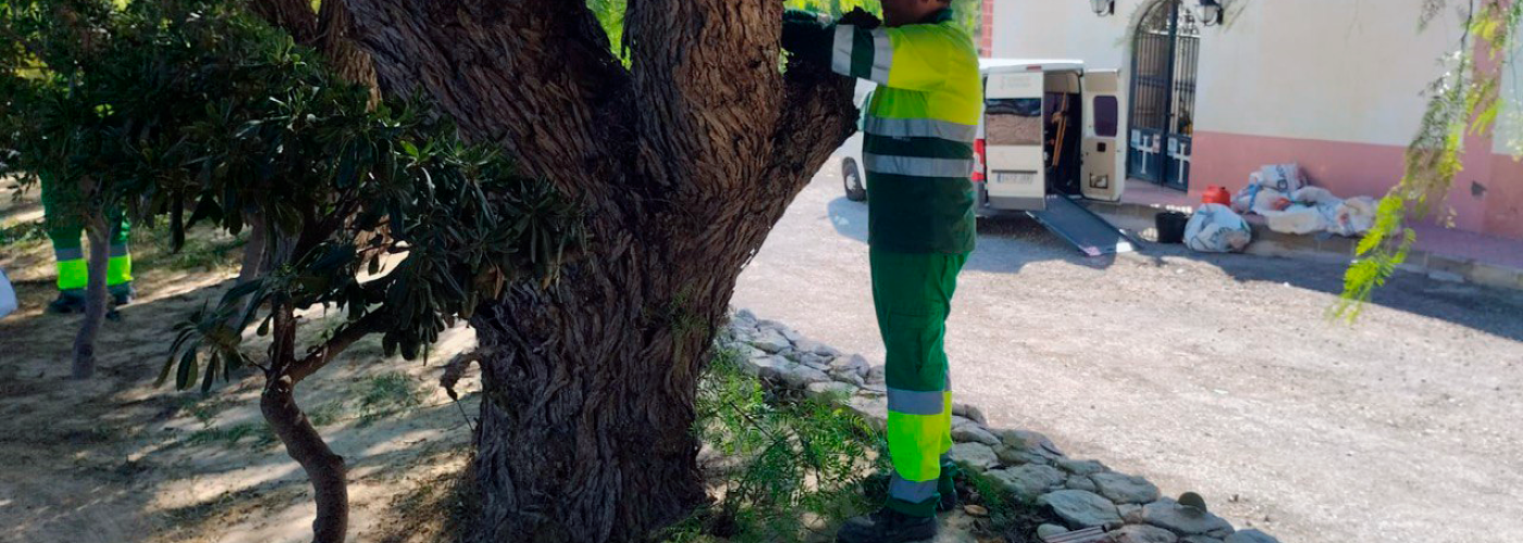TRABAJO 1