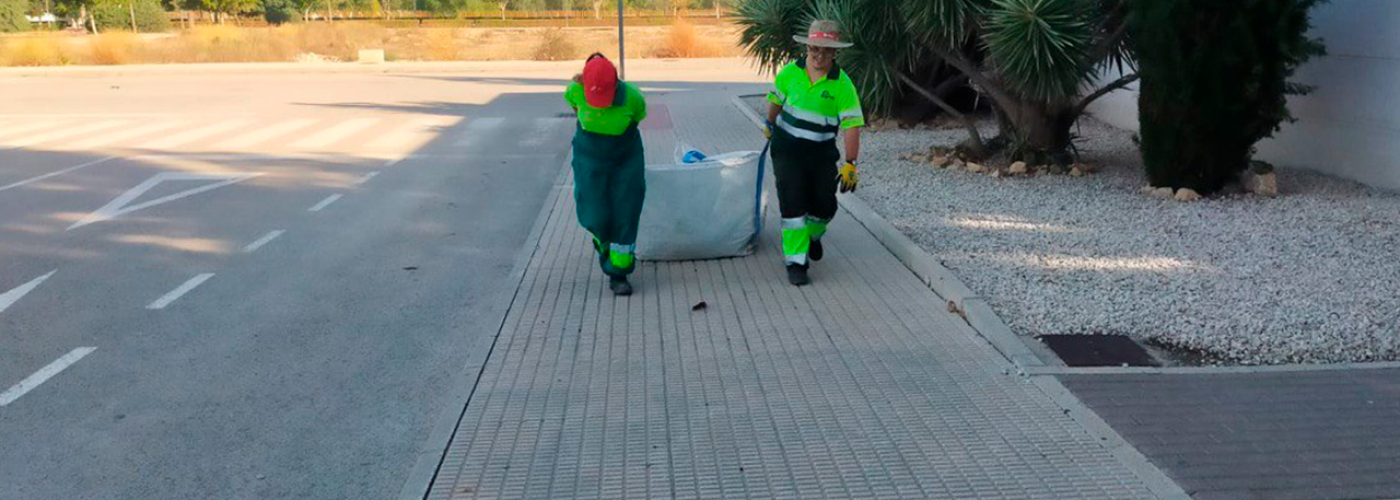 TRABAJO 15