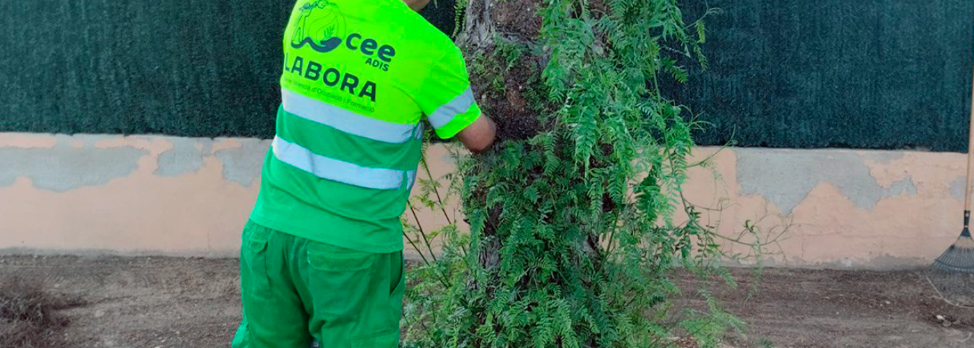 TRABAJO 19