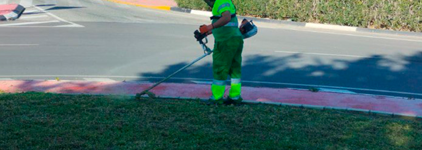 TRABAJO 5